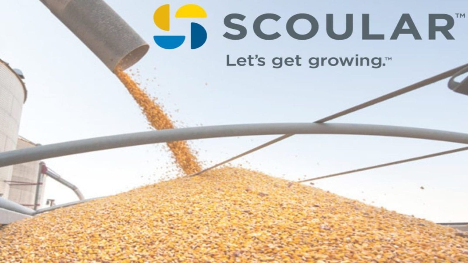 Scoular’s third Annual Sustainability Report highlights strides in carbon savings and responsible sourcing
