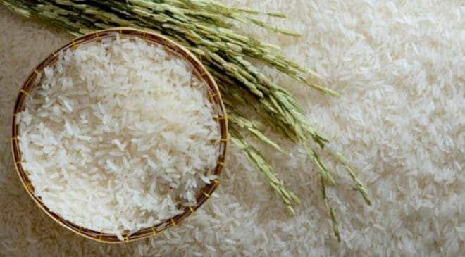 Angola bets on local rice production to cut down imports  