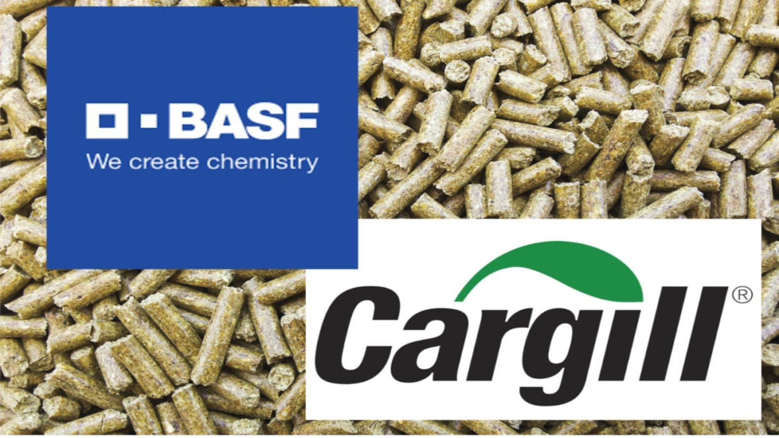 BASF, Cargill expand partnership to offer high-performance enzyme solutions to animal protein producers in USA