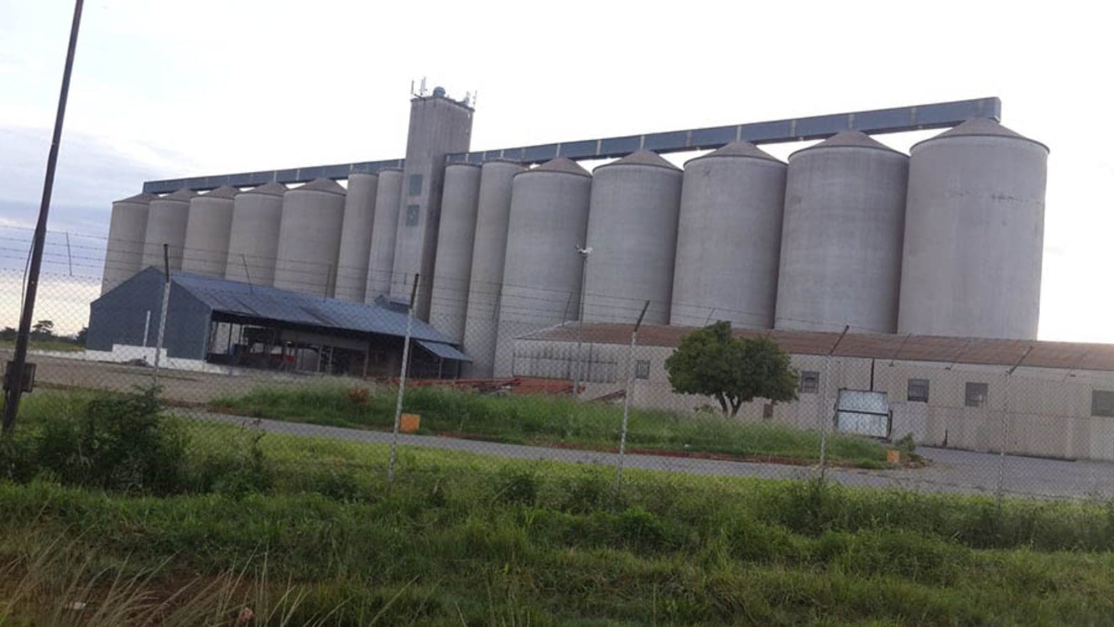 Grain Marketing Board partners Buhler, Aftrade to modernize, expand grain storage capacity in Zimbabwe