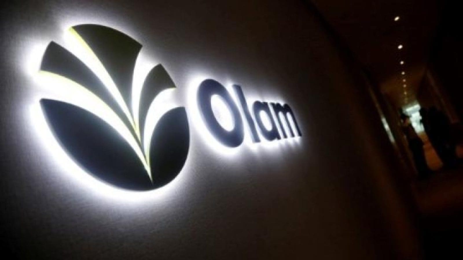 Olam Agri contemplates expanding wheat flour and pasta production capacity in Cameroon