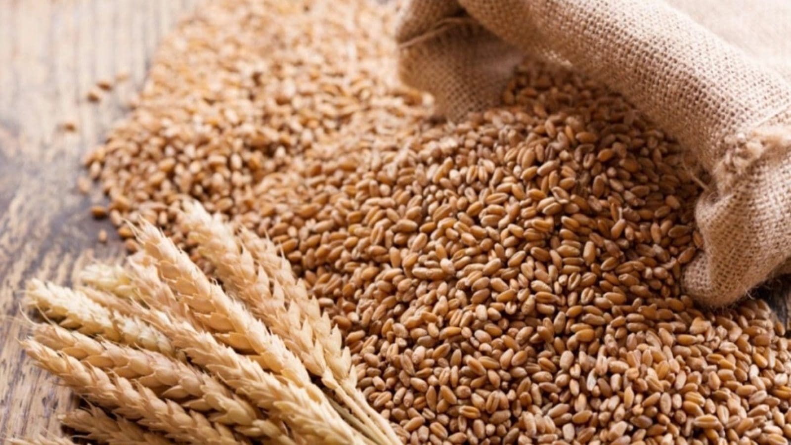 Saudi Arabia issues tender to buy 715,000MT of wheat in Q1 2024