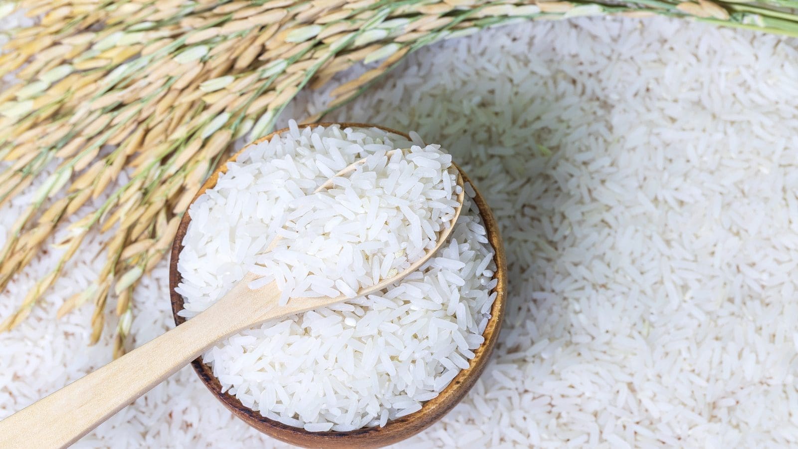 Madagascar requests India to waive export taxes on rice destined for the island