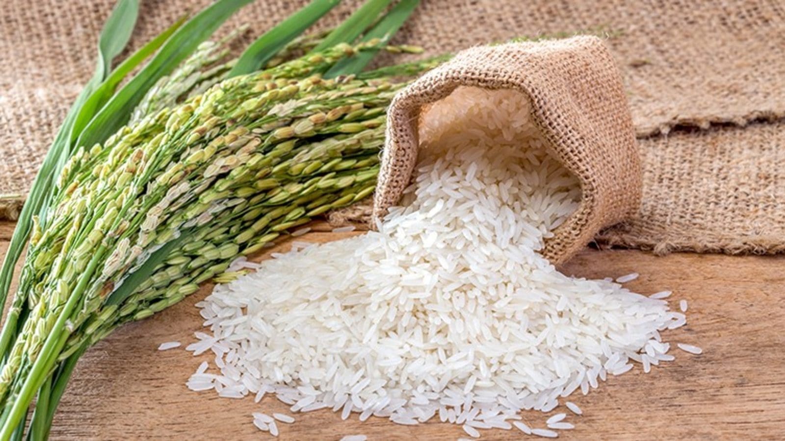 India maintains basmati rice floor price as grain-export curbs continue