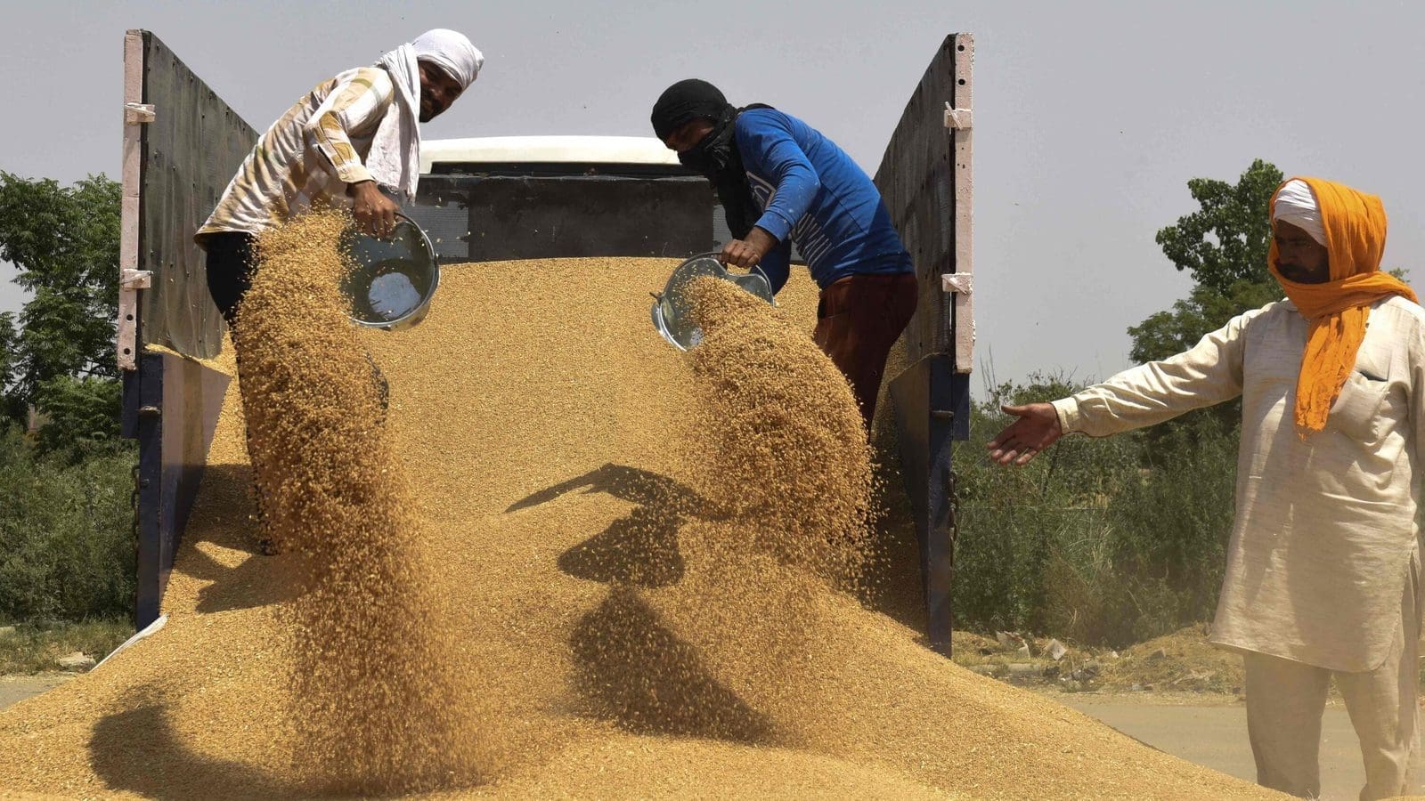 Jordan to buy 240,000 tonnes of barley and wheat to boost grain reserves