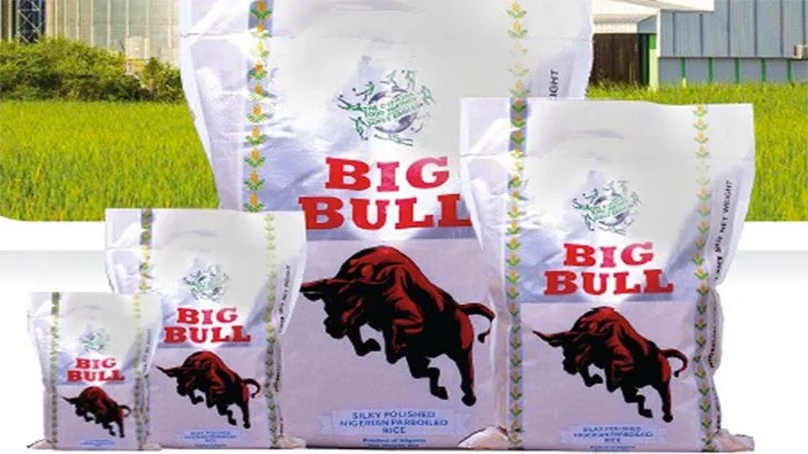 New ‘Big Bull Rice N100 Pack’ commended by customers: TGI reports