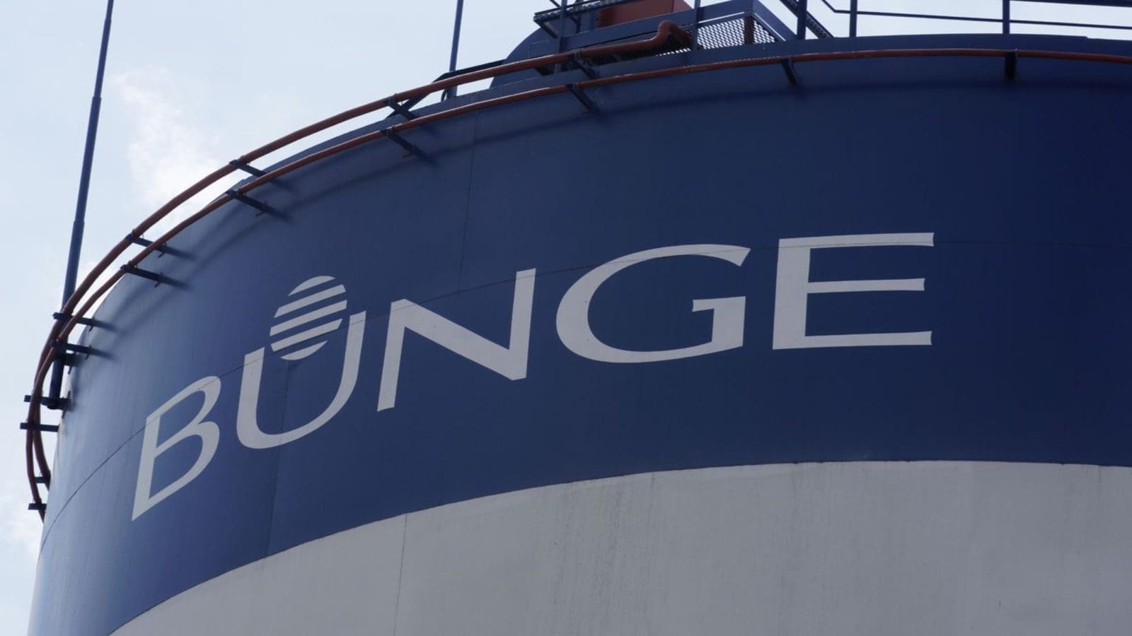Bunge credits bumper harvest, strong meal and oil demand for outstanding full-year performance