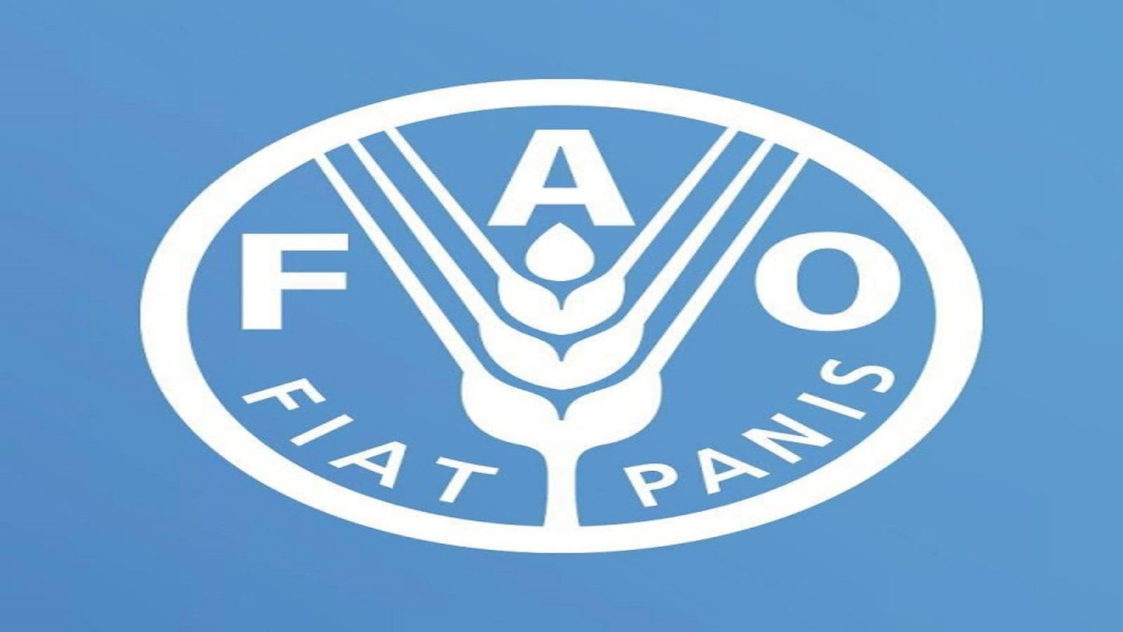 Ethiopian Commodity Exchange receives FAO support to incorporate wheat into trading systems