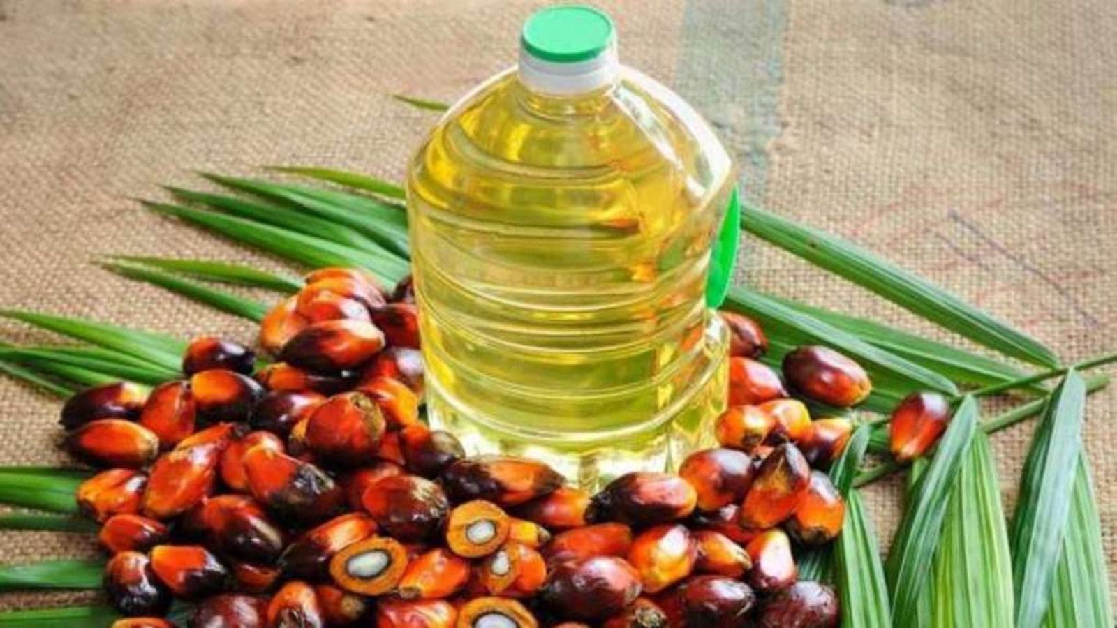 KALRO to distribute 2.5M palm seedlings as state plots to cut edible oil import dependency