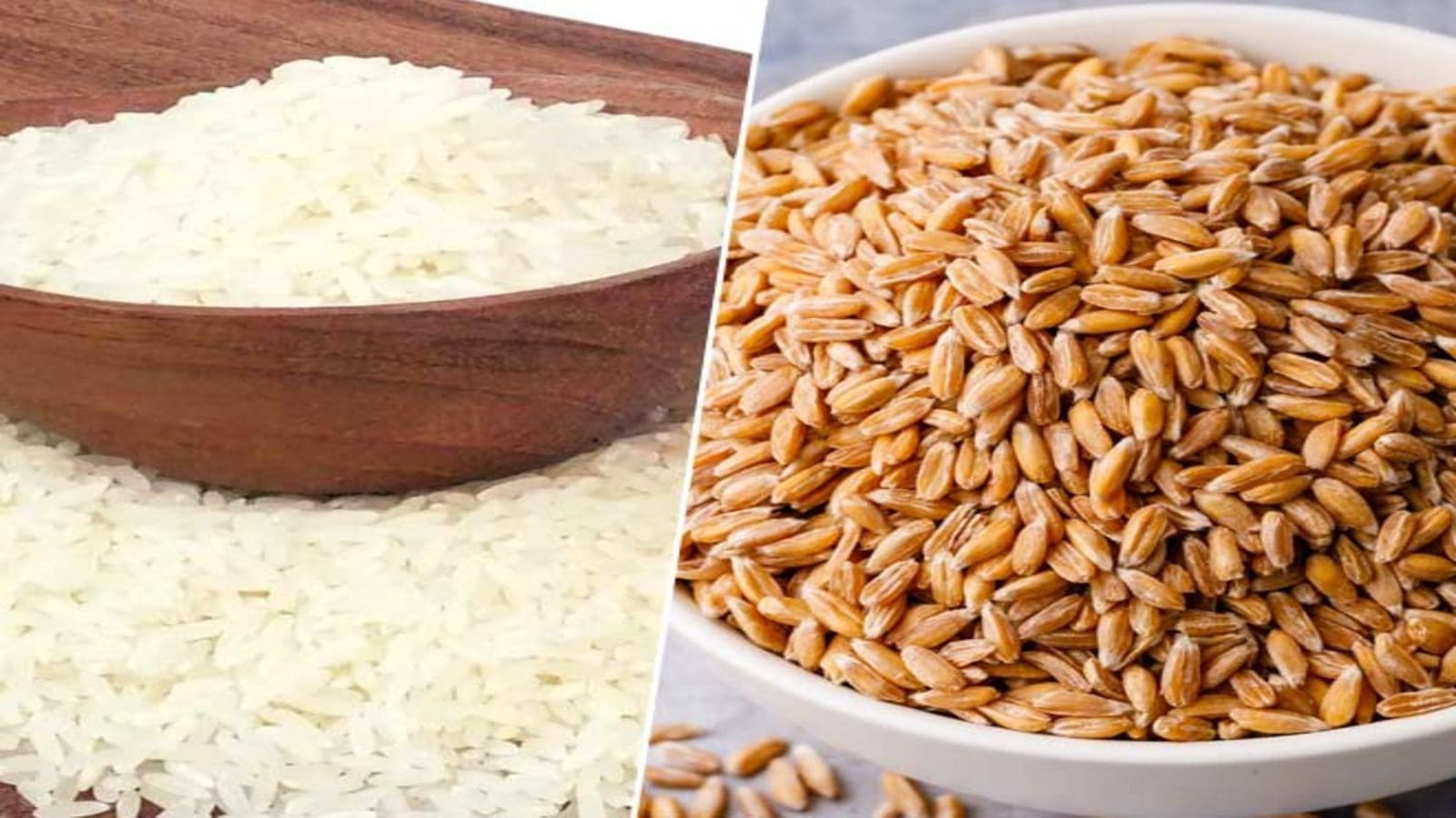 Egypt intends to purchase 5M tonnes of wheat, short grain rice in international tender in 2024
