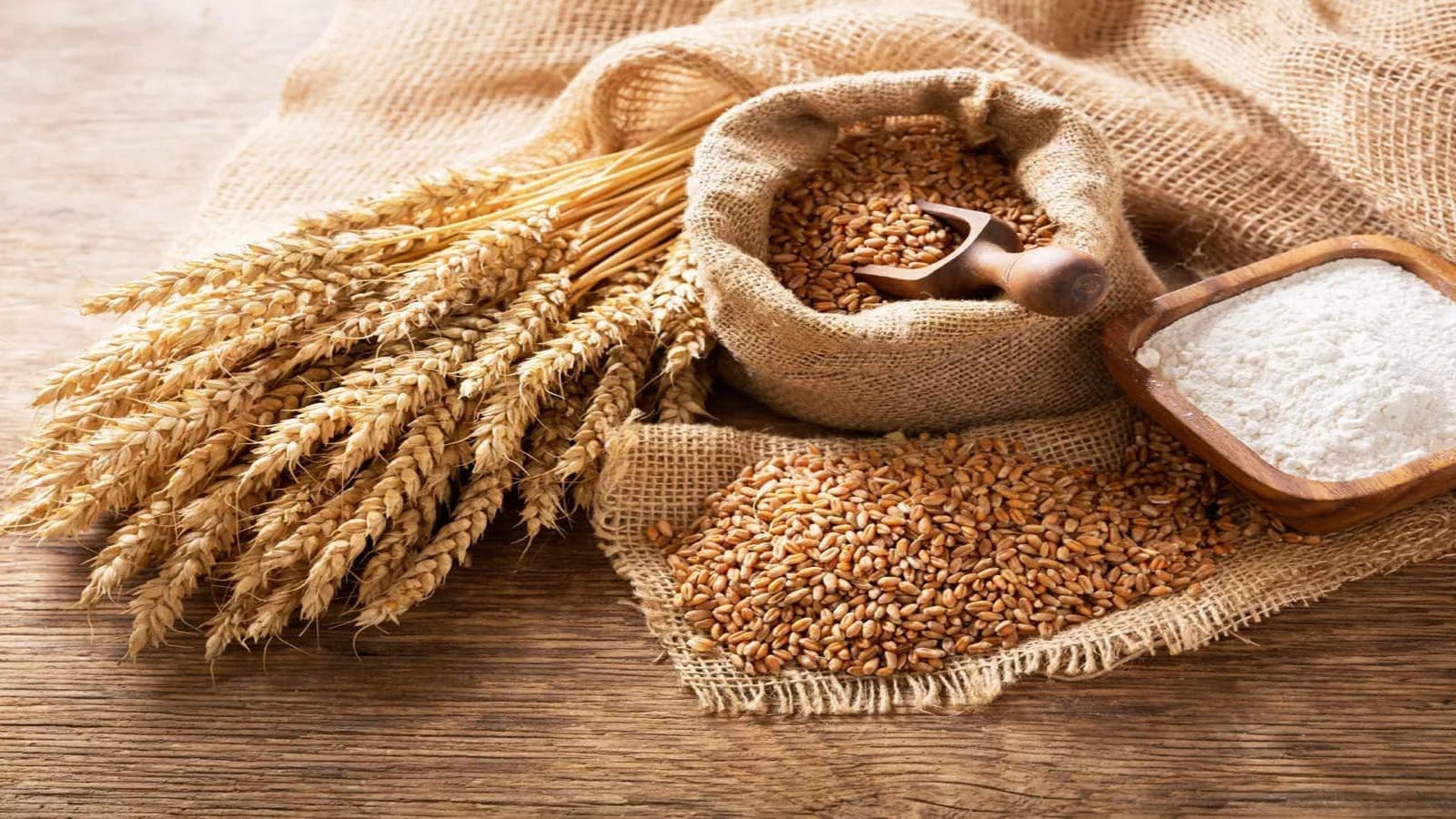Egypt purchases 3.8M tons of wheat from local farmers as the country makes effort toward self-sufficiency