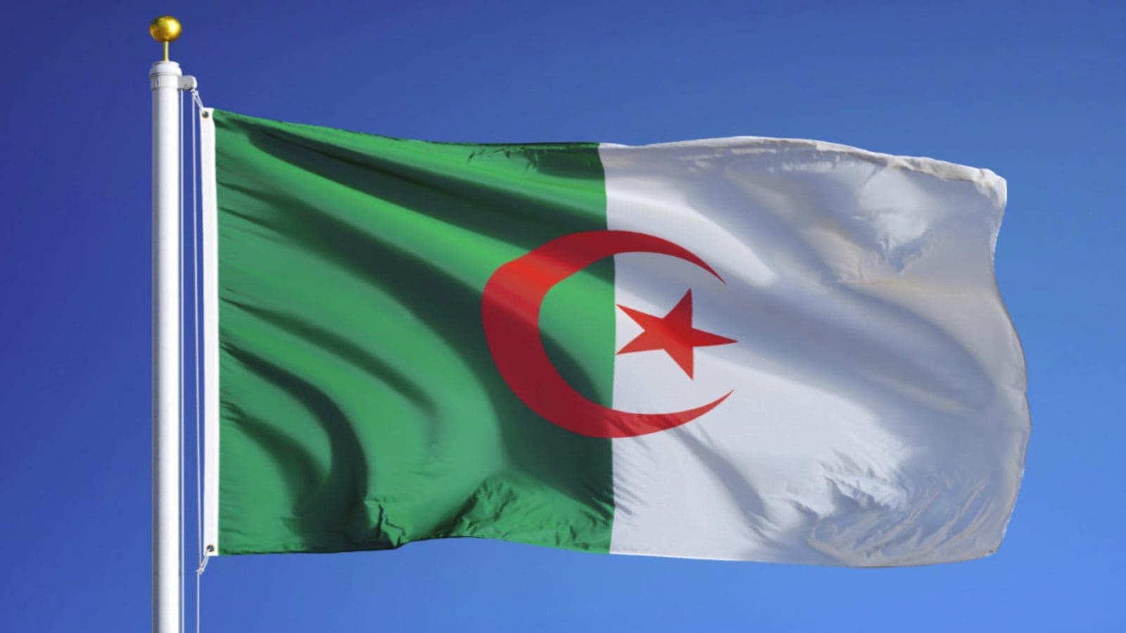 Algeria opens new registration window for grain and pulses suppliers 