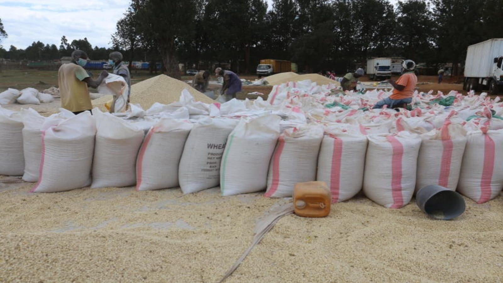 Maize prices in Kenya hit a record high as competition over scarce