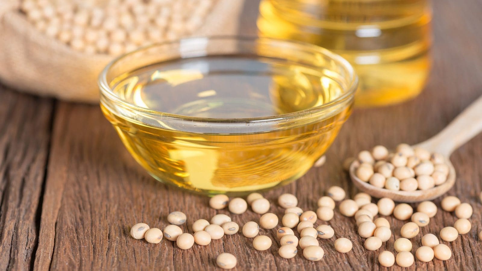 Soy oil demand drives Brazillian soybean crush forecast to 51.5 MMT: USDA