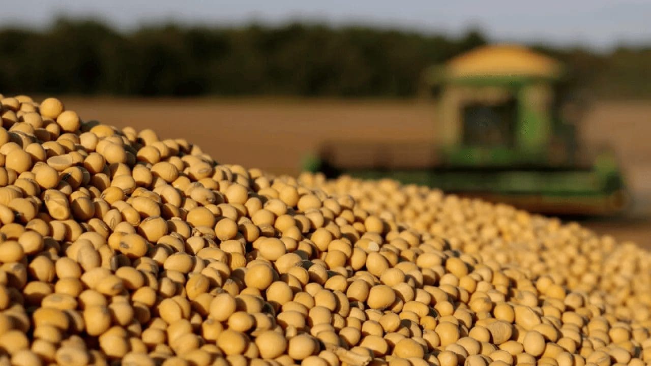 Surging soybean crush capacity marks milestone in US agriculture