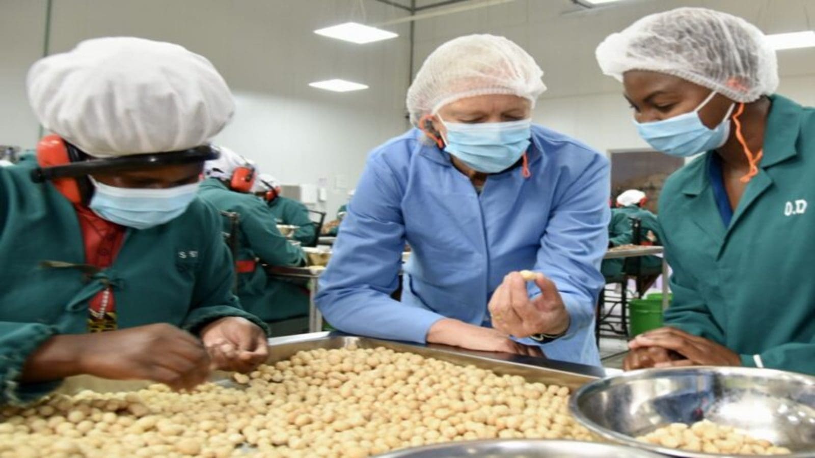 Macadamia processor Exotic Epz among 7 firms receiving US5M grants from USAID to champion food