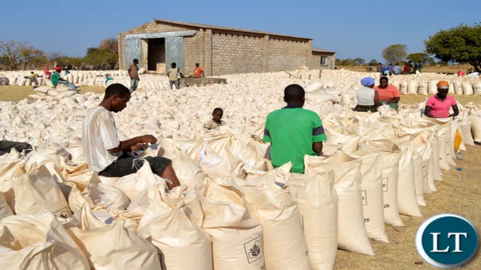 Zambia bans maize export, claims the reserves are just enough for the country