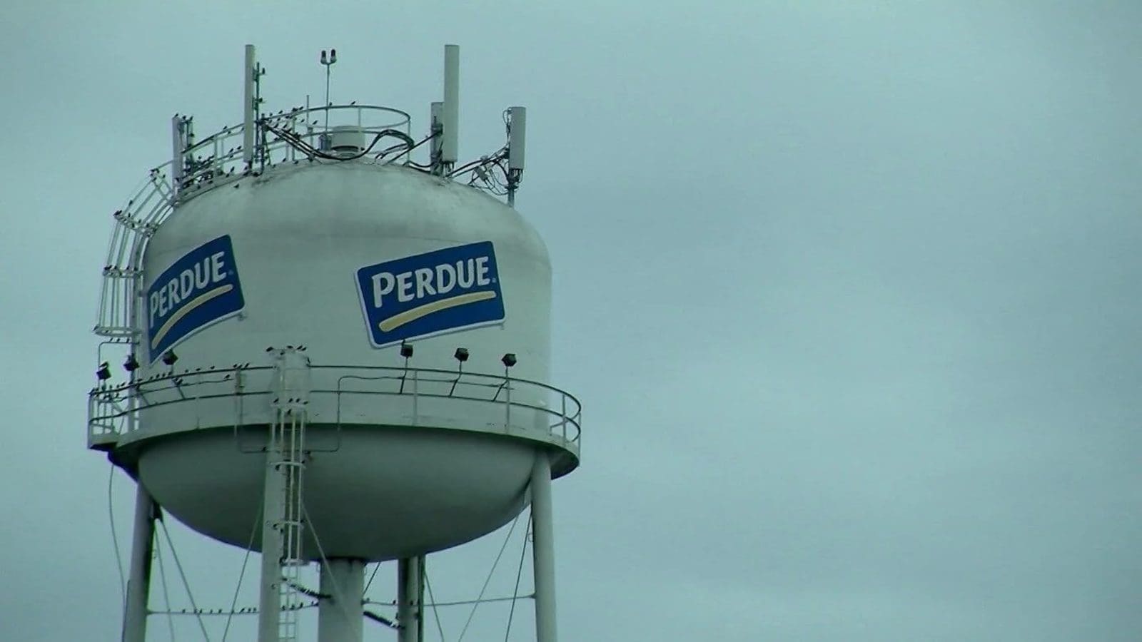 Perdue AgriBusiness to divest its Maryland elevator for US$1.25 million