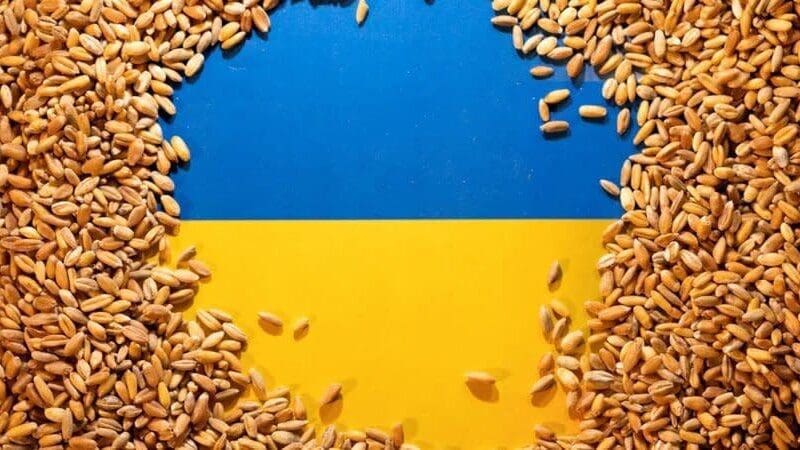 Ukraine stifles Black Sea deal as grain acreage trends lower 