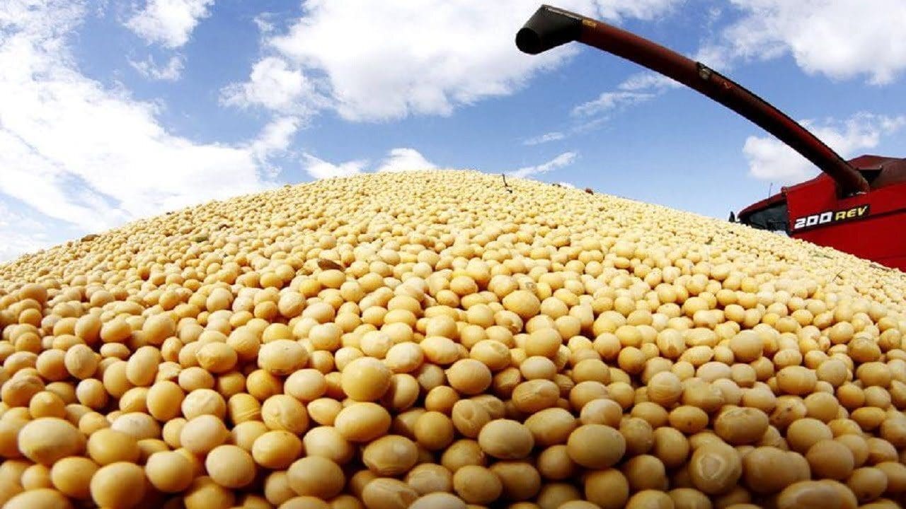 USDA projects 62% dip in Egypt’s soybean imports for MY 2022/23 in the aftermath of the Russia-Ukraine war