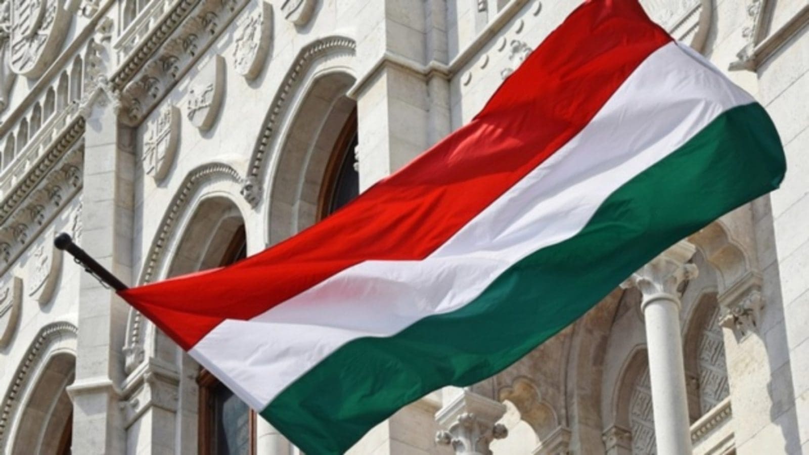 Hungarian Grain and Feed Association challenges ban on Ukrainian imports
