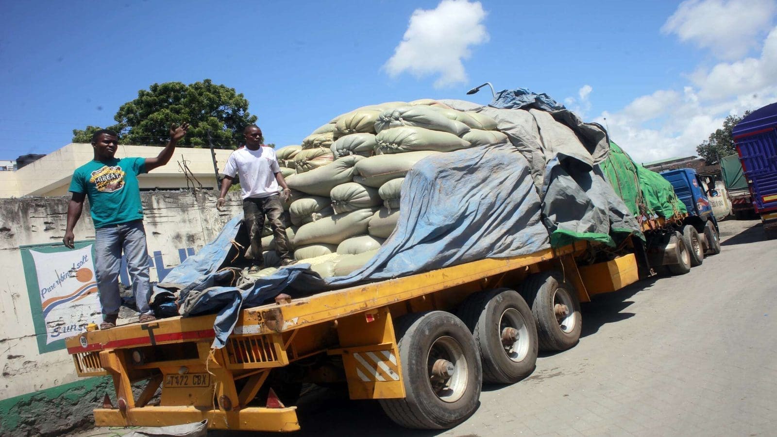 Kenya loses 42% of Tanzania maize imports on tariff restrictions