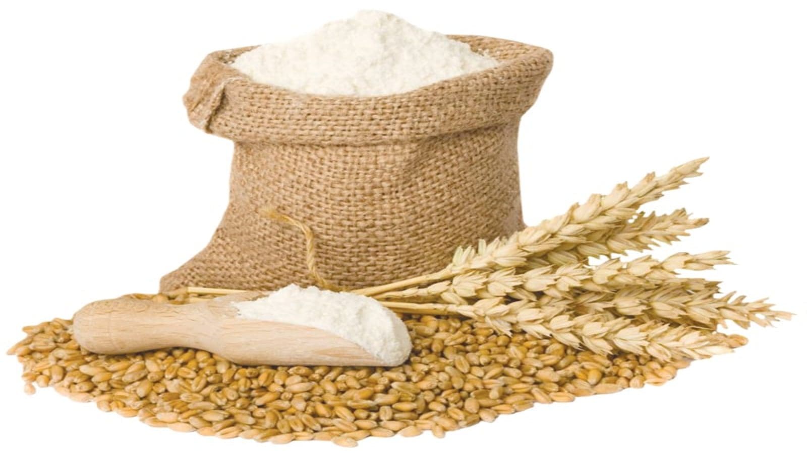 Sudan receives 14600 tonnes of wheat under the Grain from Ukraine initiative