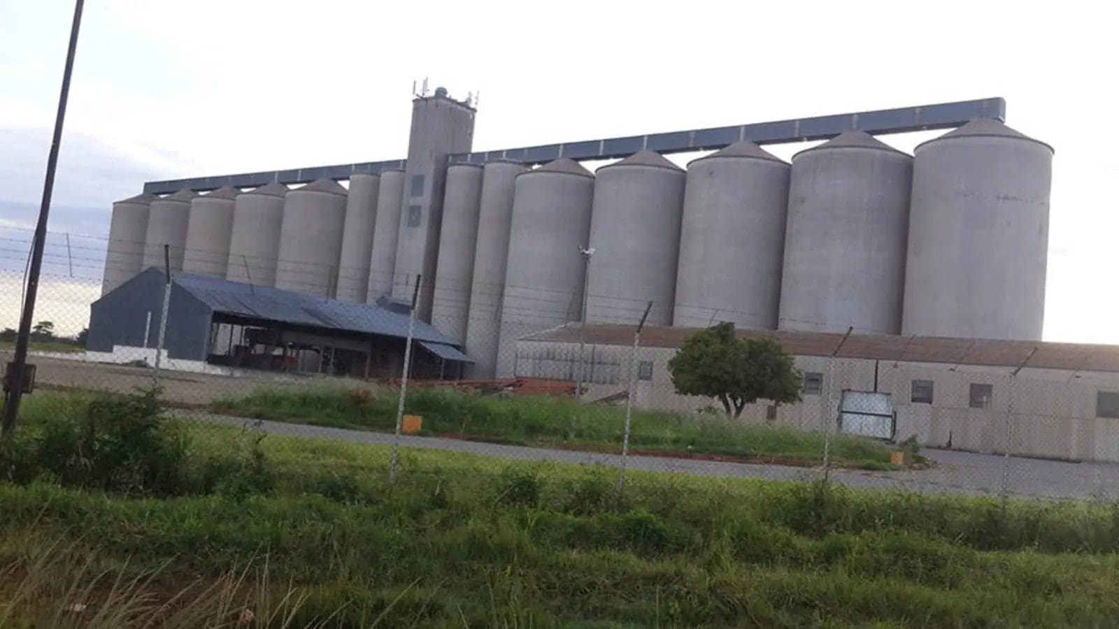 Zimbabwe Grain Marketing Board to build US$112M grain silos with Belarusian support