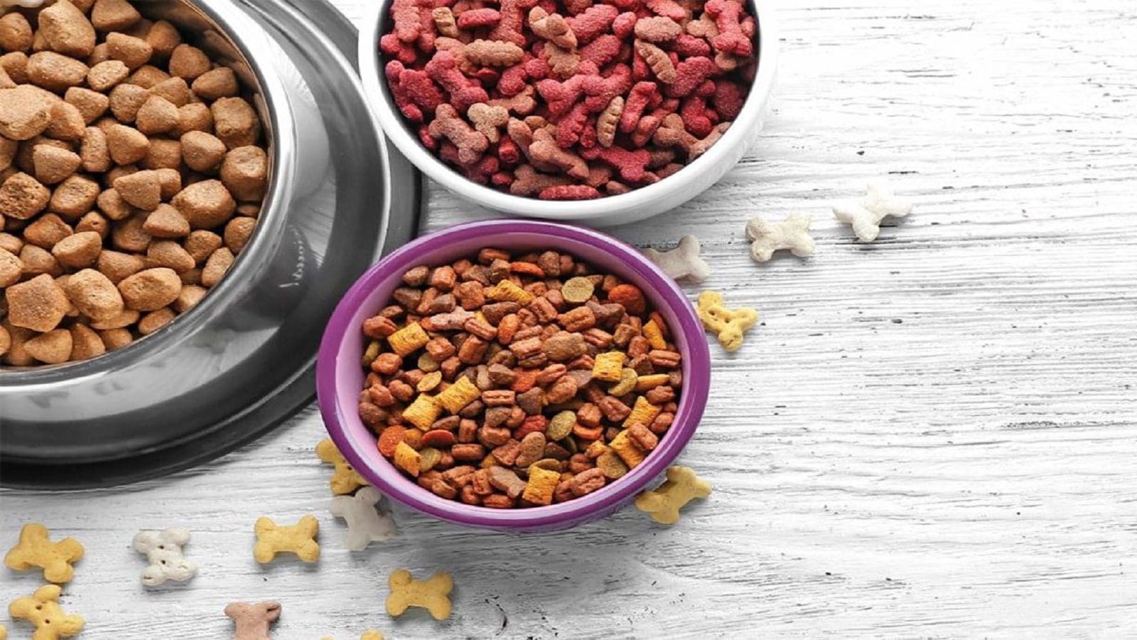 US pet-food manufacturer Alphia considers possible sale as acquisitions drive industry growth
