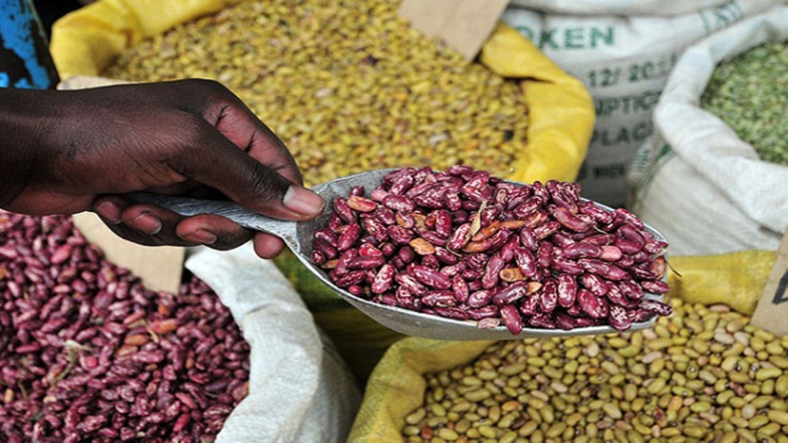 Bean scarcity in Uganda drives retail prices alarmingly high amid overwhelming demand