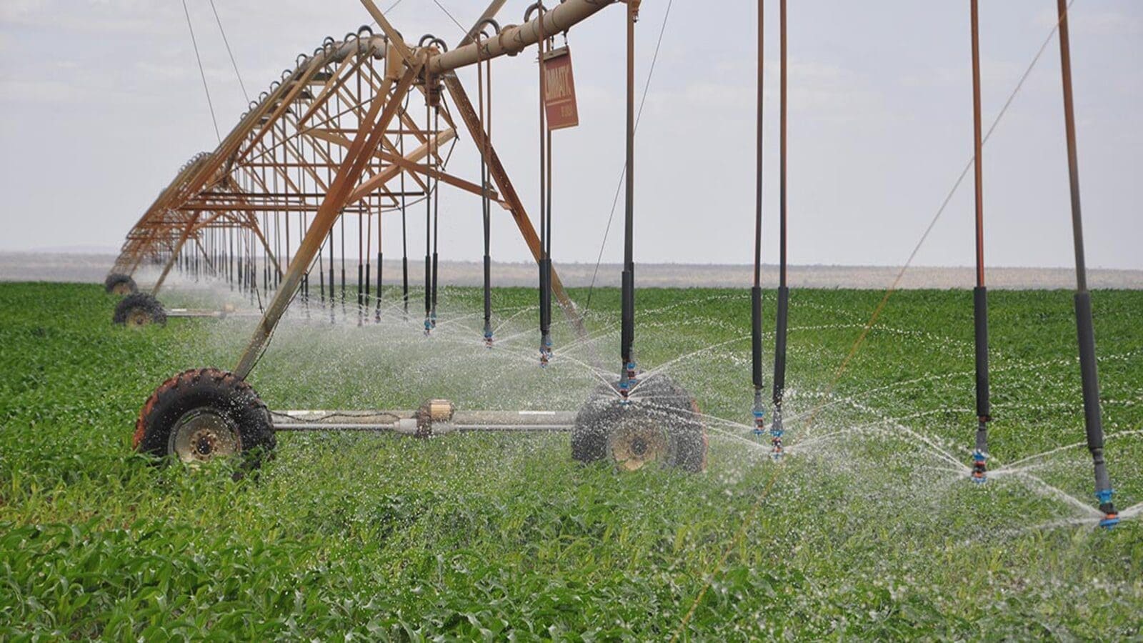 Kenya to invest US$412M on irrigation projects to boost food production, halt imports