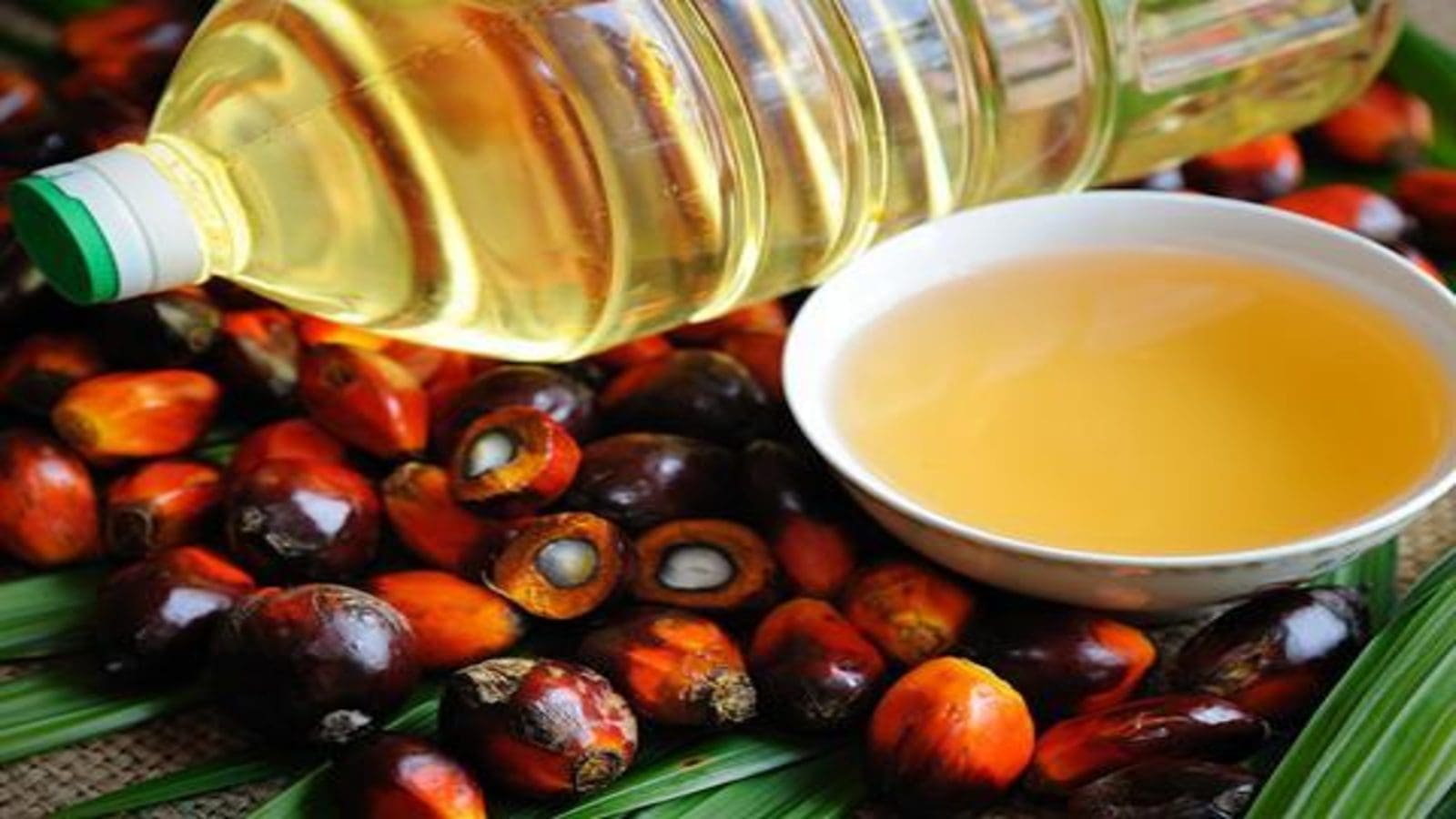 Dekel Agri-Vision records 6th consecutive month of stronger crude palm oil production
