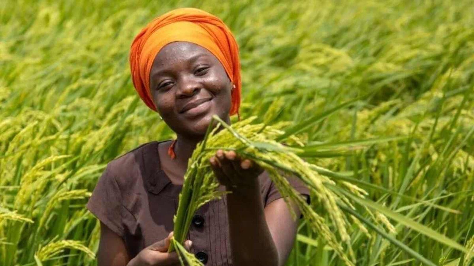 Ghana partners Israel  in agritech solutions aimed  to  build climate resilience in rice production