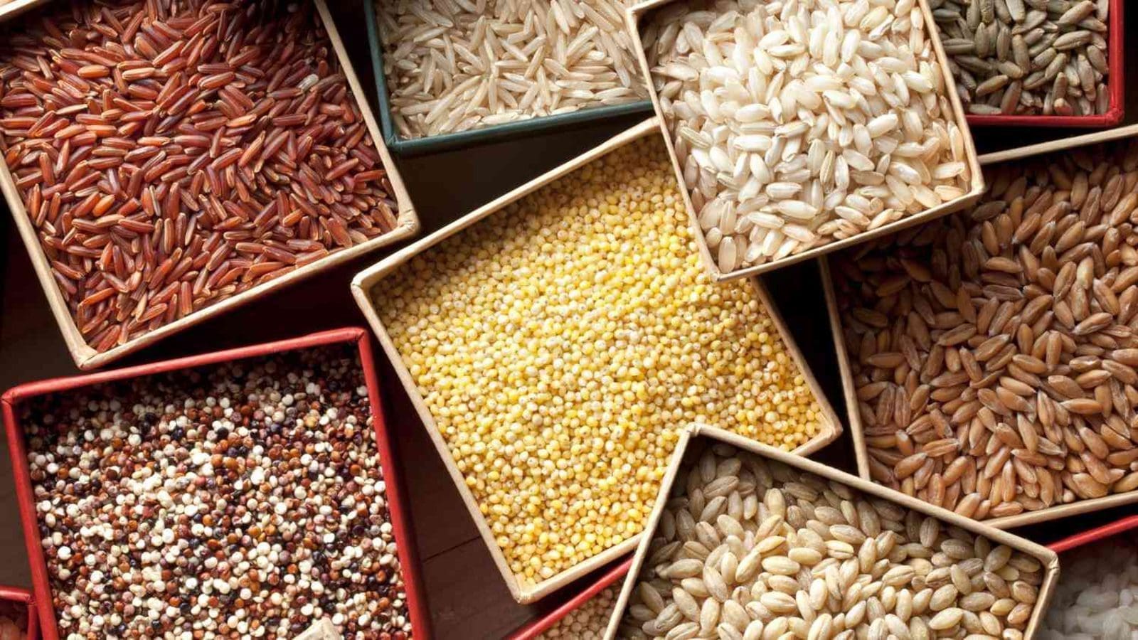 Burkina Faso authorizes exceptional grain export to Niger