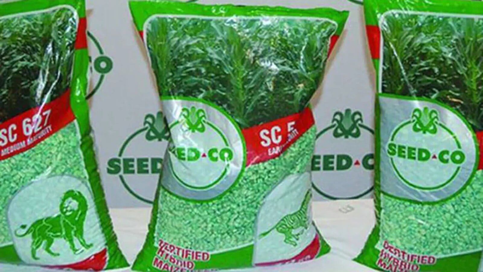 Zimbabwe’s Seed Co restructures its business model to cope with impacts of exchange losses
