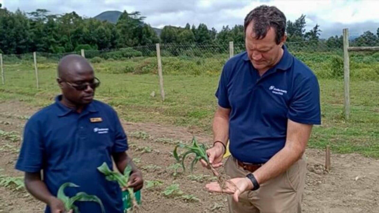 Agricultural biological solution provider Andermatt enters Kenya, sets up an office in Naivasha