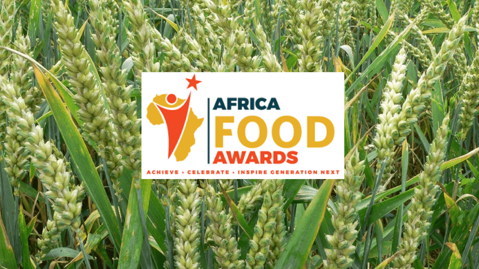 Flour Milling Association of Nigeria launches four new wheat varieties, bags prestigious award at the Africa Food Awards 2023 