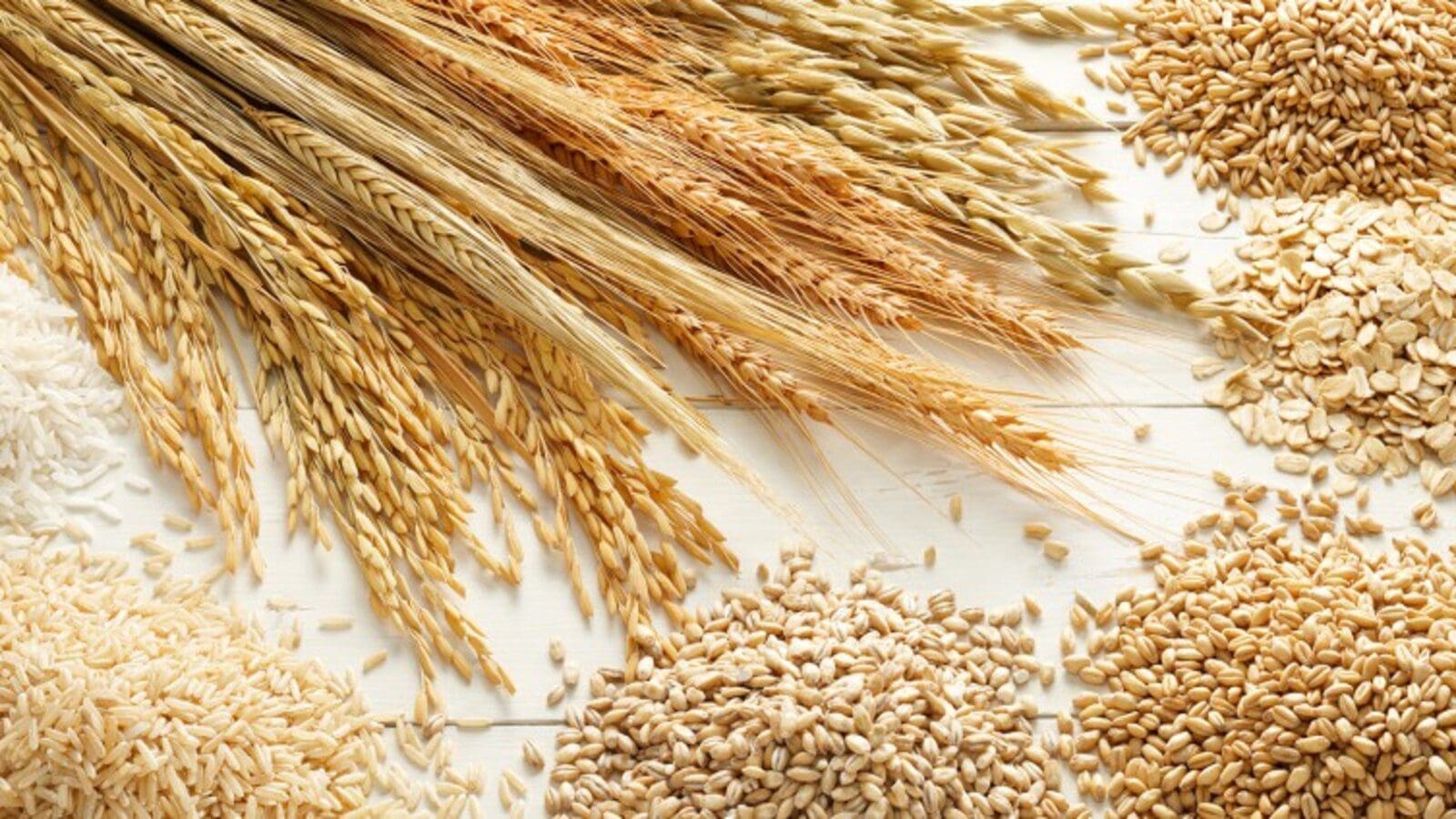 Tunisia Cereals Office embarks on 2024/2025 cereal campaign after a catastrophic drought, eyes 70,000 tons of seeds