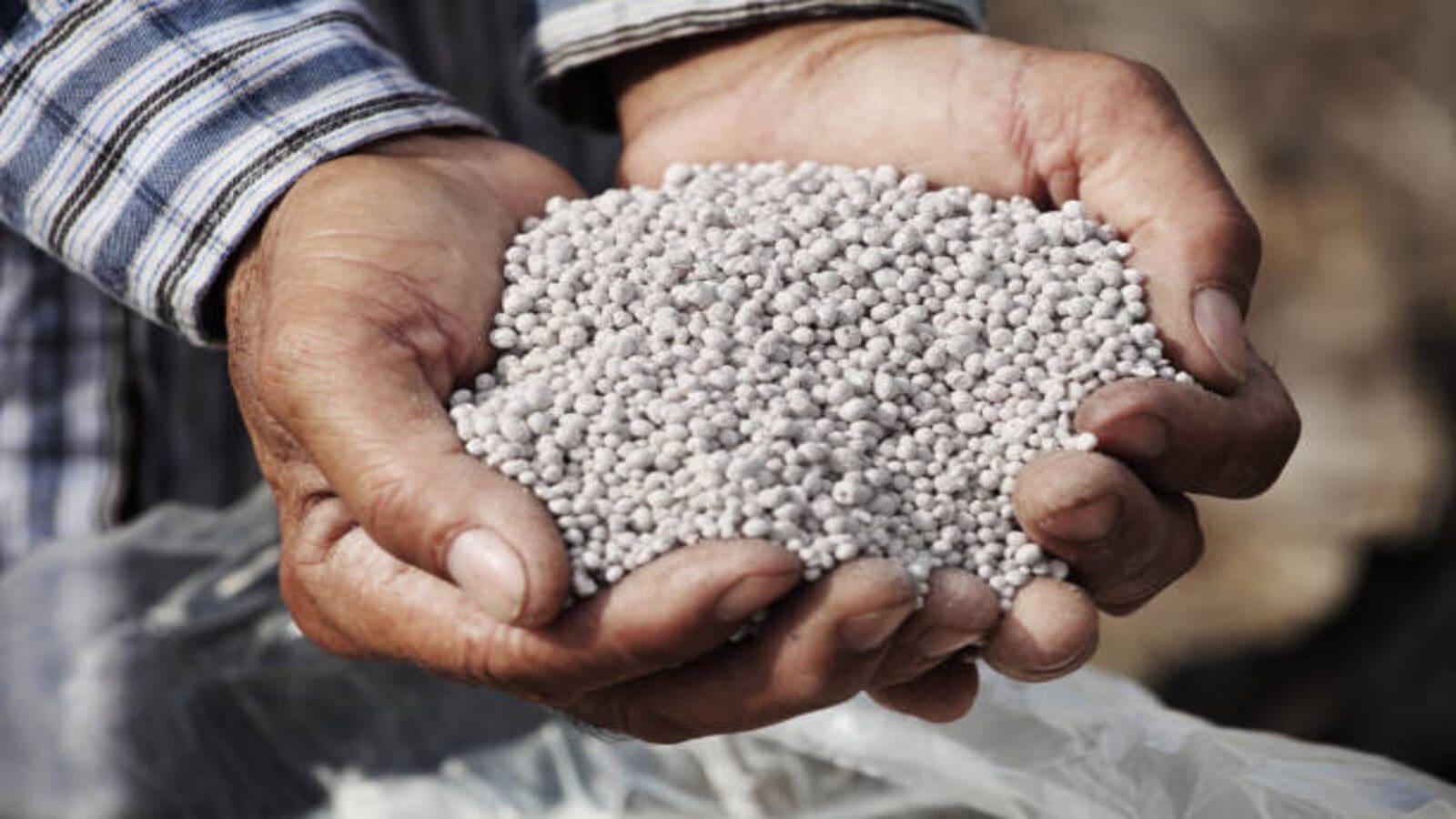 Russia has donated 34,400 tonnes of raw fertilizer for Fertilizer Subsidy Programme in Kenya