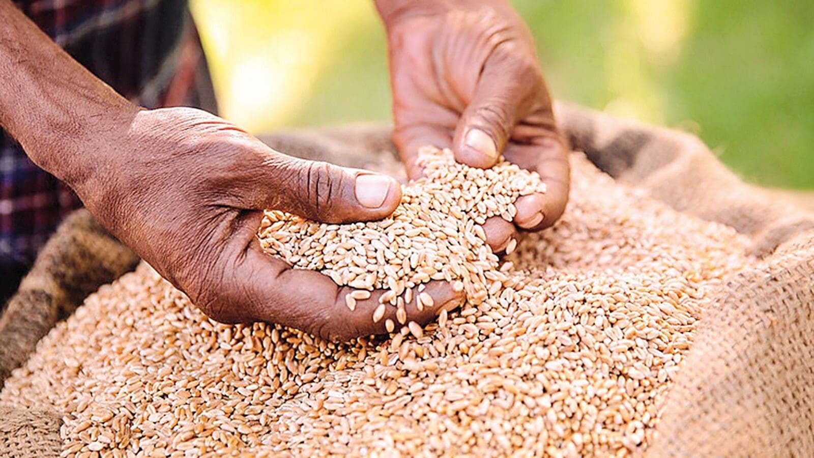 Ethiopia on track to attain self-sufficiency in barley production, thanks to Soufflet Malt