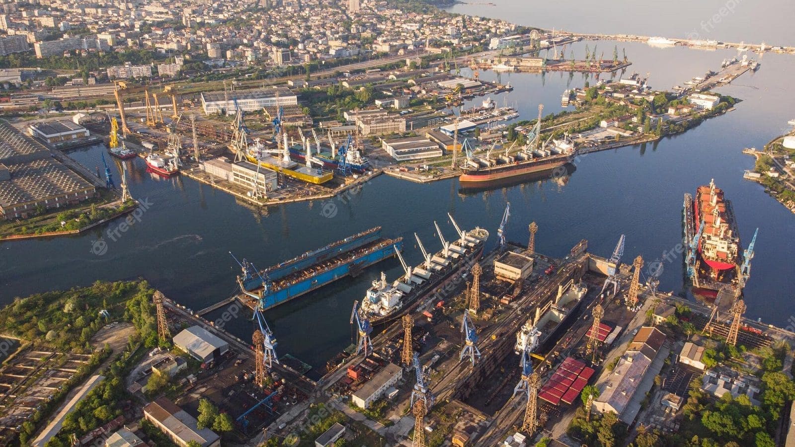 Russia faces grain shipping challenges as international traders reduce Russian activity