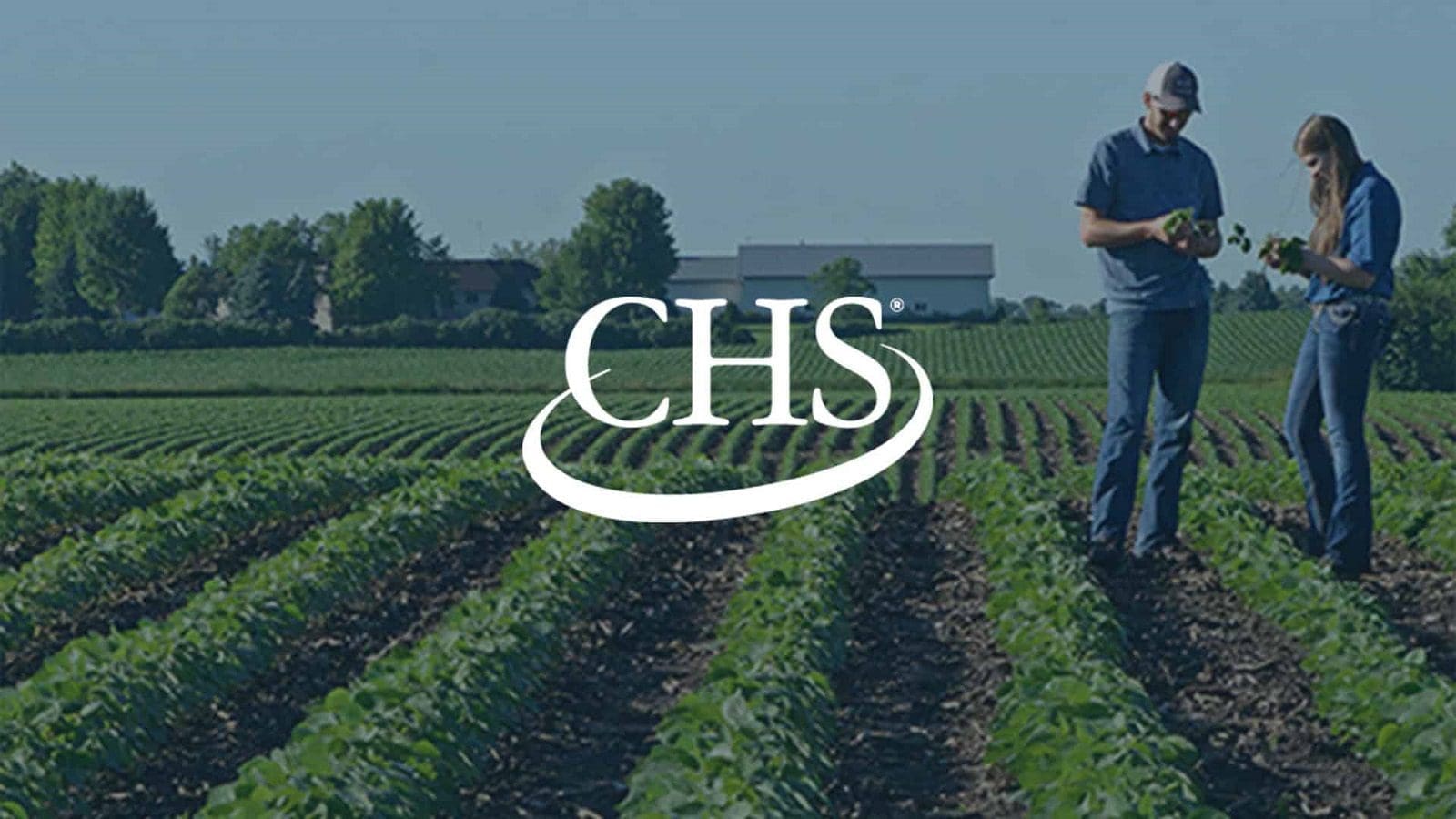 Global demand for energy and oilseeds products drives CHS Q3 earnings