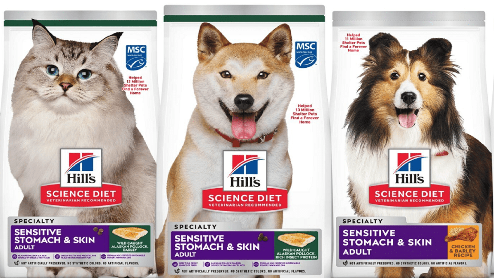 Hill’s Pet Nutrition unveils new products for pets with sensitive stomachs 