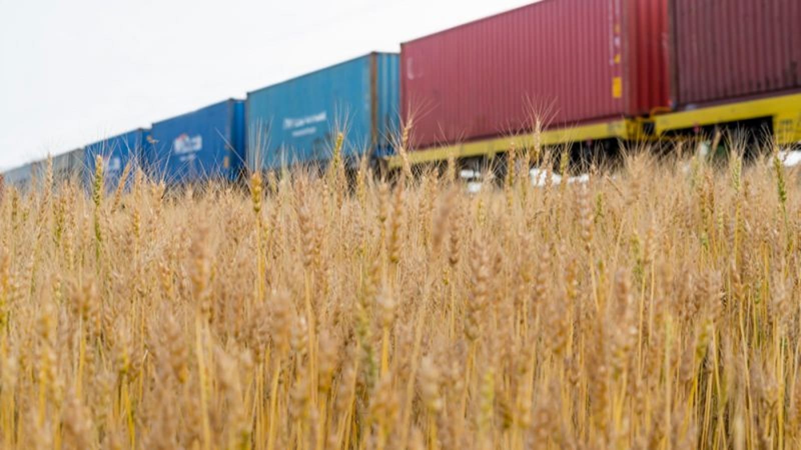 EU countries oppose Poland’s decision to extend ban on Ukrainian grain