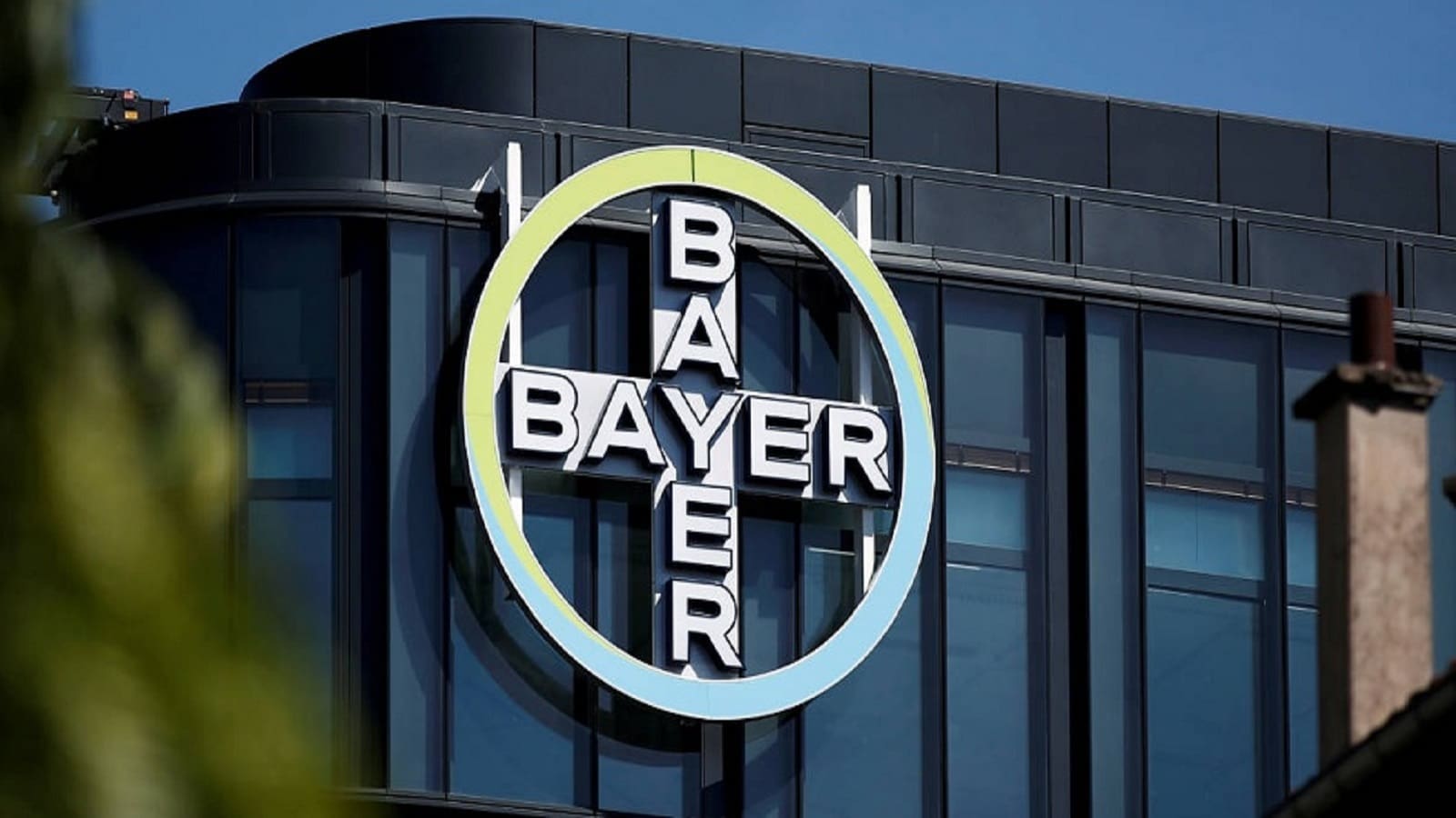 Bayer’s second-quarter derailed by declines in glyphosate business
