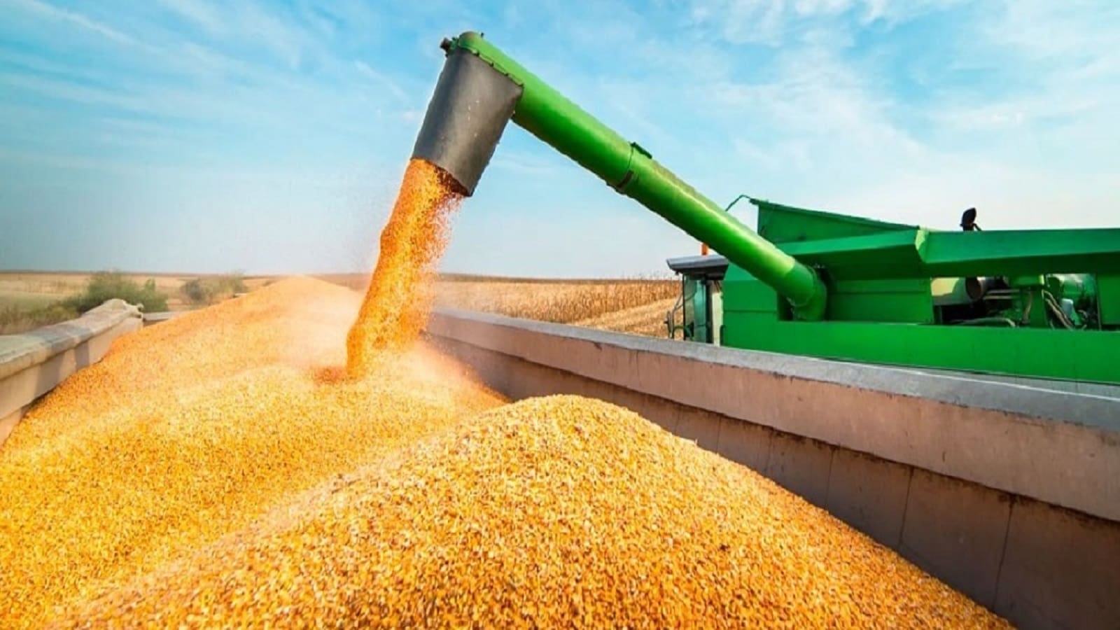 Brazil to topple US as top corn exporter on record production and cleared bottlenecks 