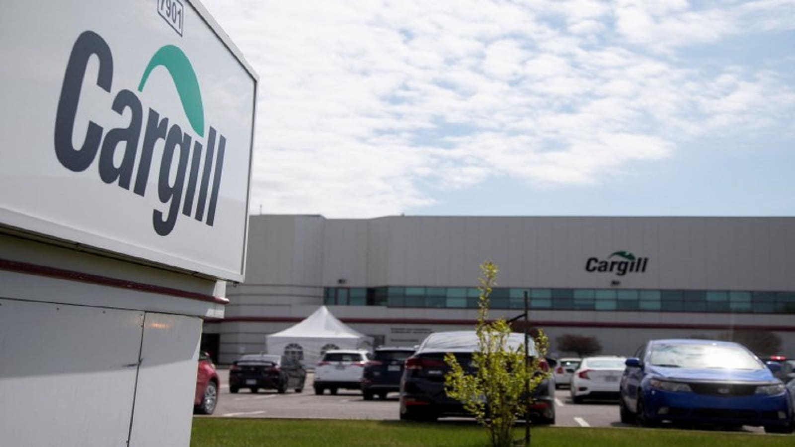 Cargill seeks to acquire soy crushing facilities in Brazil