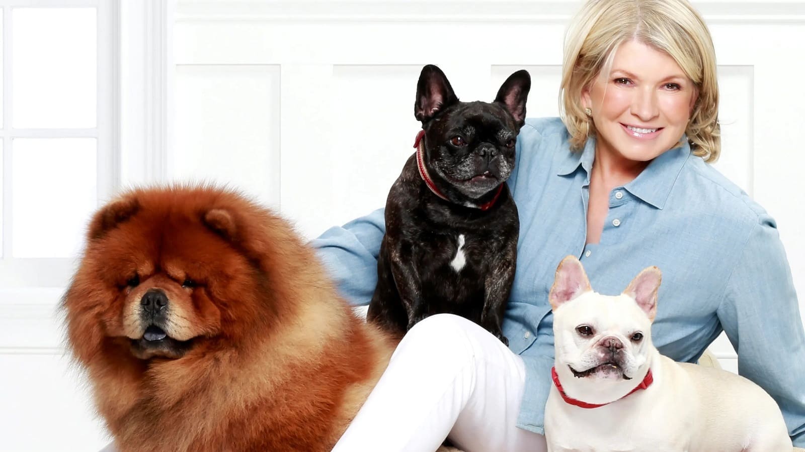 Martha Stewart ventures into pet nutrition with Chewy 