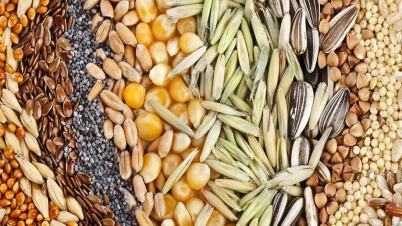 Tanzania earmarks US$260M in push to achieve 75% of quality seed demand by 2025