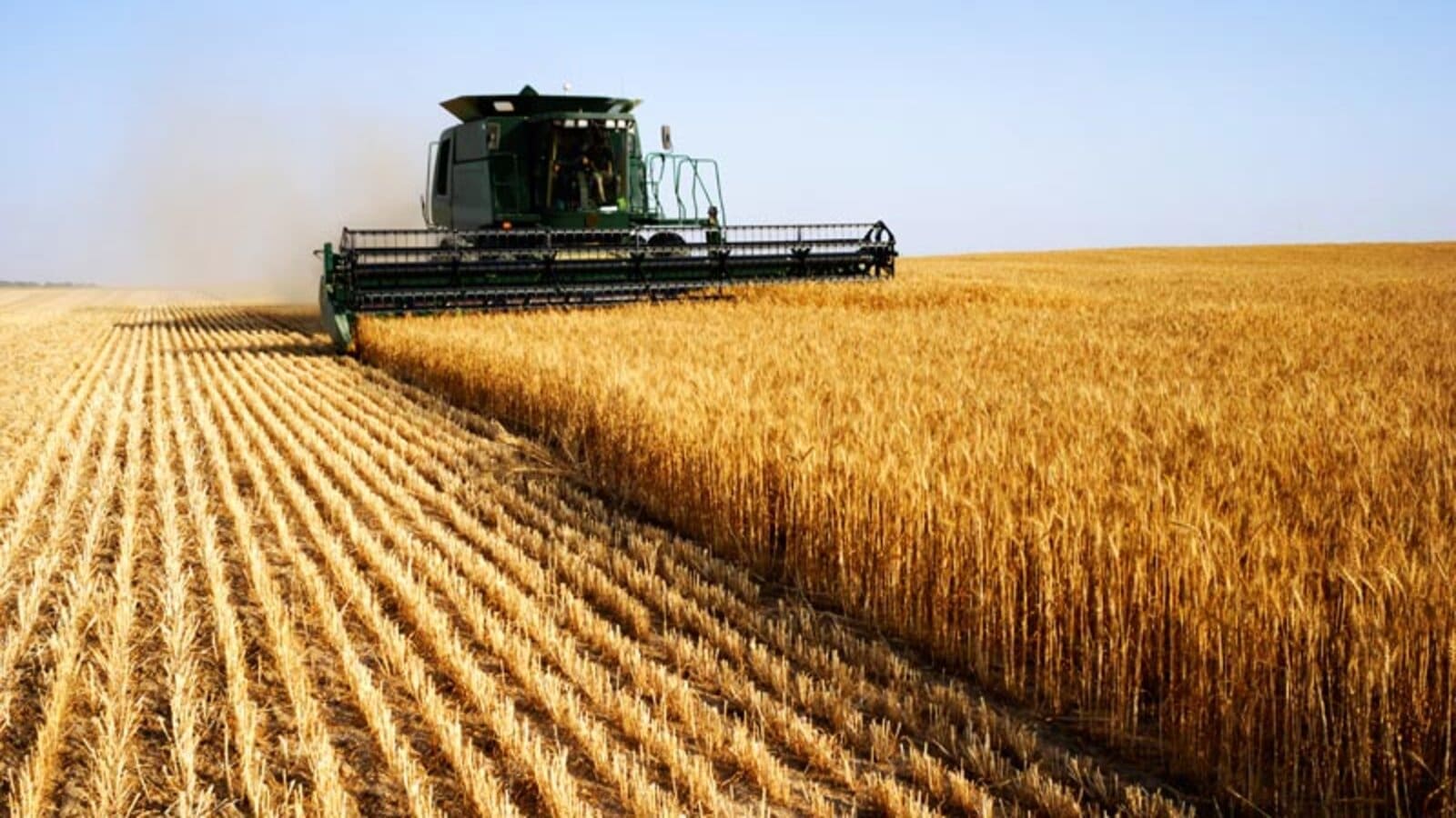 Korean wheat cultivation aims for self-sufficiency with record-breaking production: USDA
